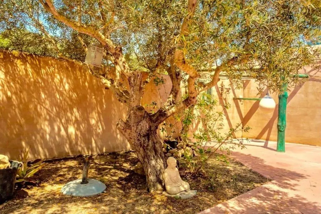 Villa Turquoise Formentera Сан-Ферран-де-Сес-Рокес Испания